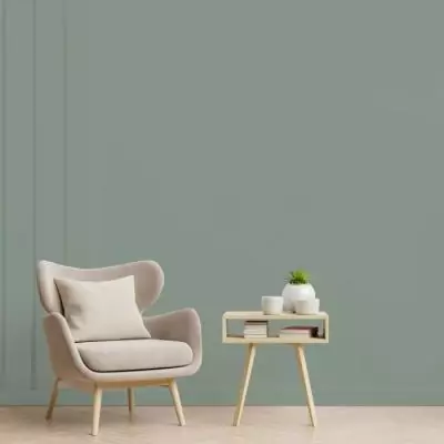 Peinture décorative murale intérieure vert nobile mat RIPOLIN - 2,5L