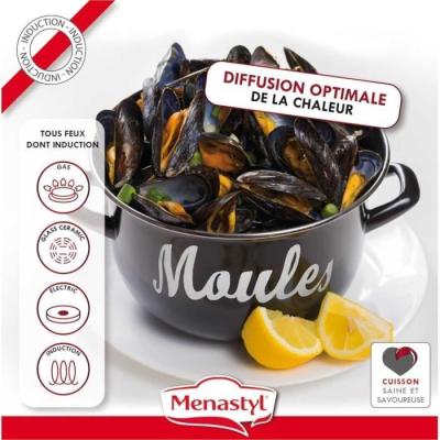 Marmite design MENASTYL 24 cm - Noir émaillé - Induction