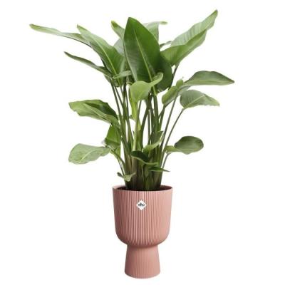 Pot de fleur élégant Elho Vibes Fold Coupe - Rose - 100% recyclé