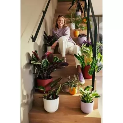 Pot de fleur Elho Jazz Rond Blanc - Ø 26 x H 24 cm - 100% recyclé Pot de fleur Elho Jazz Rond Blanc - Ø 26 x H 24 cm - 100% recyclé