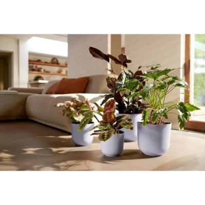 Pot de fleur Elho Jazz Rond Violet 100% recyclé - L 30 x B 29.5 x H 27 cm
