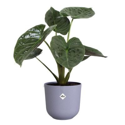 Pot de fleur Elho Jazz Rond Violet 100% recyclé - L 30 x B 29.5 x H 27 cm