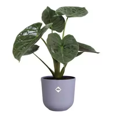 Pot de fleur Elho Jazz Rond Violet 100% recyclé - L 35 x B 34.5 x H 32 cm