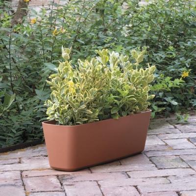 Jardinière DEROMA Origin 11,6 L Terre cuite