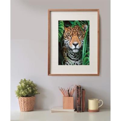 Puzzle CLEMENTONI Compact 500 pièces - Jaguar dans la jungle