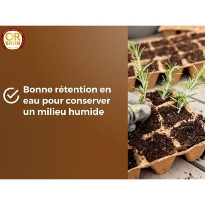 Terreau Semis Bio Brun 6L - Améliore Drainage & Rétention'eau