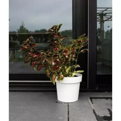 Pot réserve d'eau Garden ID Glamour Blanc 40 cm - Intérieur/extérieur - Design épuré