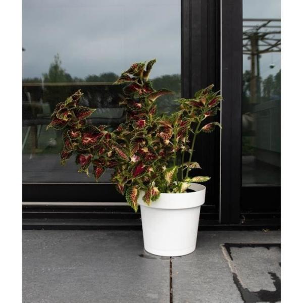 Pot a réserve d'eau - GARDEN ID Glamour - Blanc 40 cm - Surface granuleuse - Intérieur/extérieur - Design épuré.