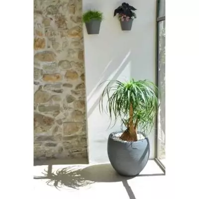Pot de fleur EDA rond Graphit Ø50cm - 46L Gris anthracite