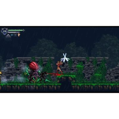 Chronicles of the Wolf - Aventure sur Nintendo Switch