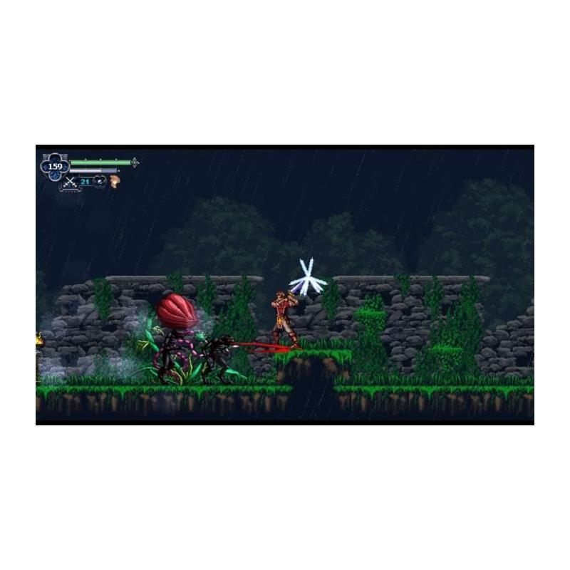 Chronicles of the Wolf - Aventure sur Nintendo Switch