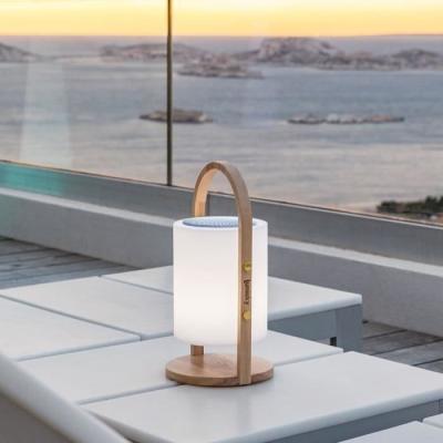 Lampe enceinte bluetooth sans fil LUMISKY WOODY PLAY - H37 cm