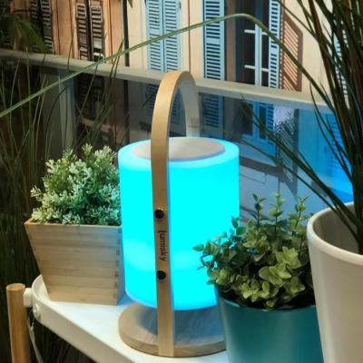 Lampe enceinte bluetooth sans fil LUMISKY WOODY PLAY - H37 cm