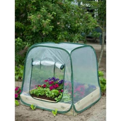 Serre de jardin Pop-Up NATURE 100x100x100 cm PE transparent ?