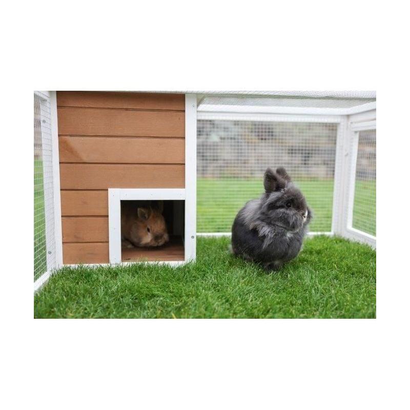 Enclos extérieur pour petits animaux avec maison intégrée