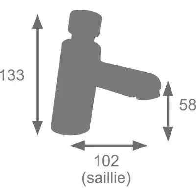 Mitigeur lave main EDOUARD ROUSSEAU chromé - Design et temporisé
