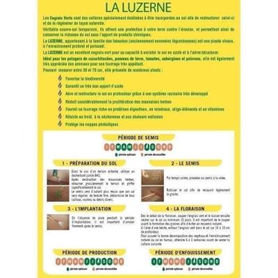 Améliorez votre sol avec Luzerne BHS - 500g | Gazon Naturel