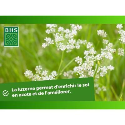Améliorez votre sol avec Luzerne BHS - 500g | Gazon Naturel