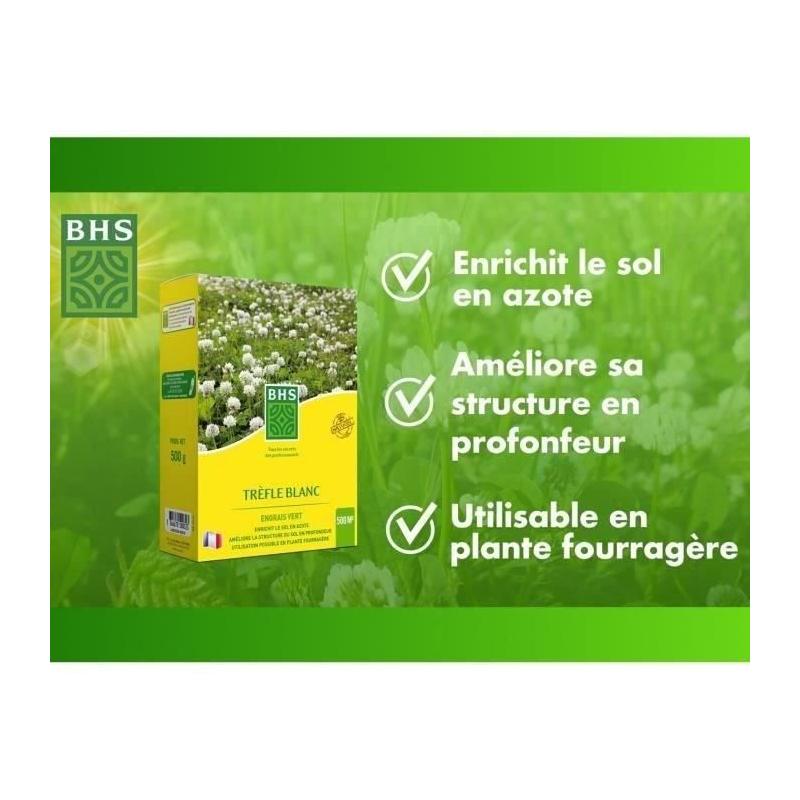 Trefle Blanc - BHS - 500 m² | Gazon naturel biodiversité & résistant