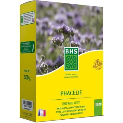 Phacélie BHS 500g | 100 m² | Gazon naturel résistant à la sécheresse