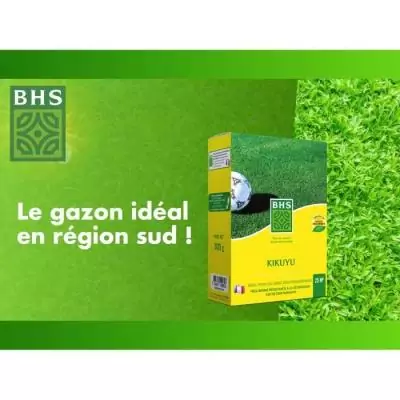 Gazon Kikuyu BHS - 300g | Résiste chaleur & piétinements