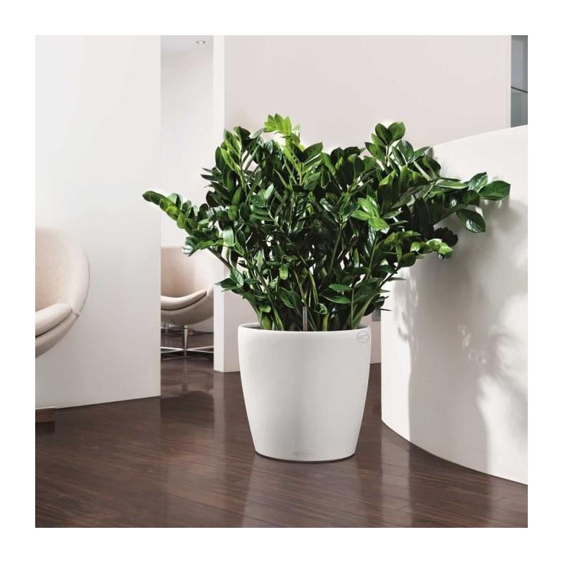 Jardinière moderne Blanc 43 cm - Tout-en-un
