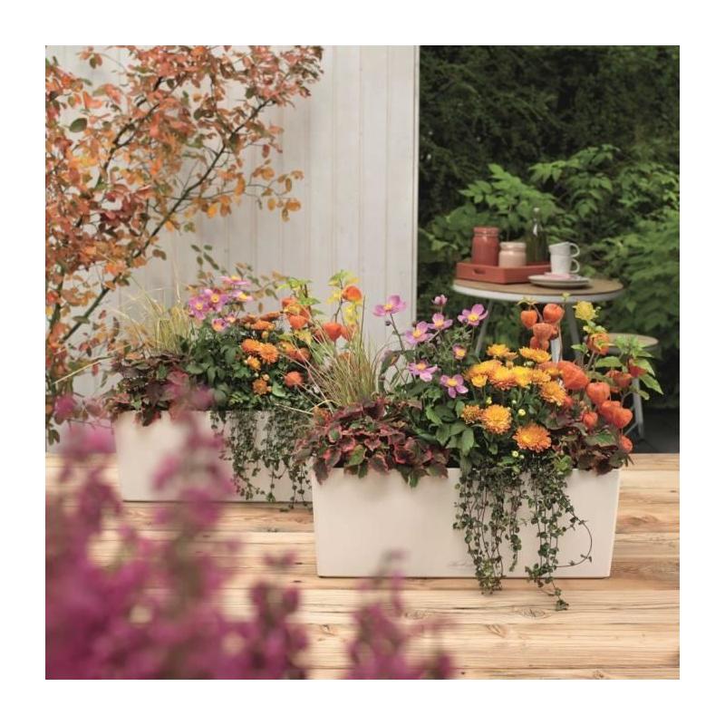 Jardinière Balconera Color 50 Blanc - Tout-en-un !