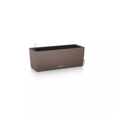 Kit de plantation en pot LECHUZA BALCONERA 50 Marron - Intérieur & extérieur