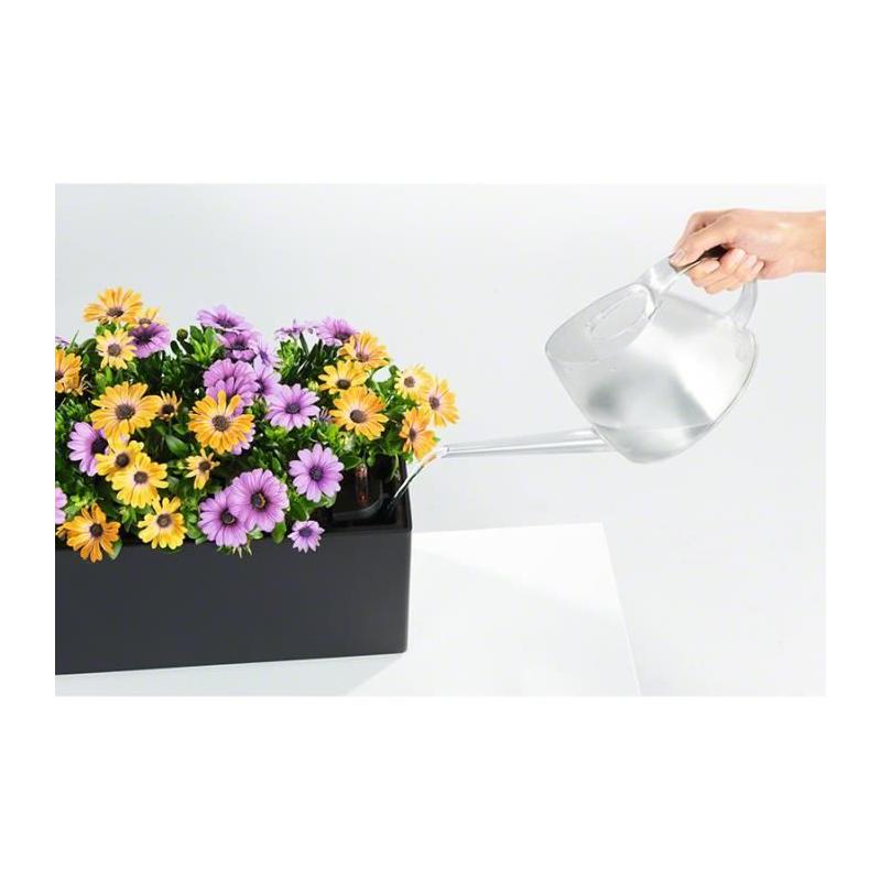 Kit de plantation en pot LECHUZA BALCONERA 50 Marron - Intérieur & extérieur