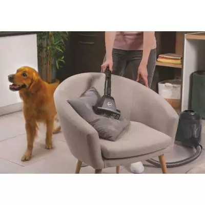 Hoover HP321PAF 011 2 L Aspirateur réservoir cylindrique Sec 850 W Sans sac