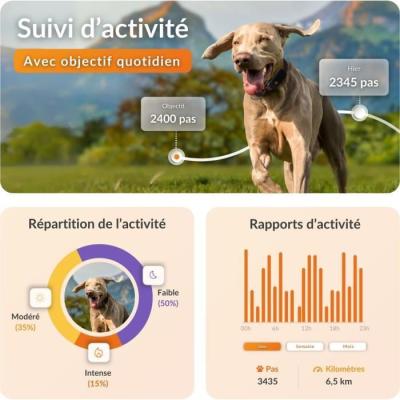 Collier GPS pour chien WEENECT Chien XT - Suivi précis - Robuste et étanche