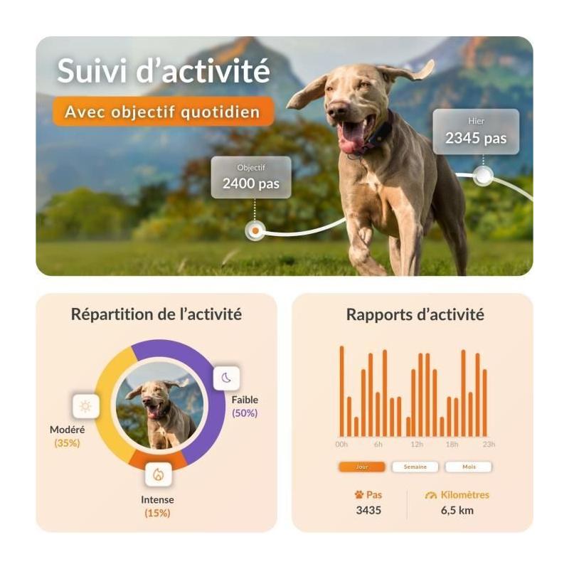 Collier GPS pour chien WEENECT Chien XT - Suivi précis - Robuste et étanche