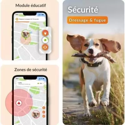Collier GPS pour chien WEENECT Chien XT - Suivi précis - Robuste et étanche Collier GPS pour chien WEENECT Chien XT - Suivi précis - Robuste et étanche