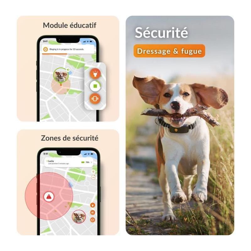 Collier GPS pour chien WEENECT Chien XT - Suivi précis - Robuste et étanche