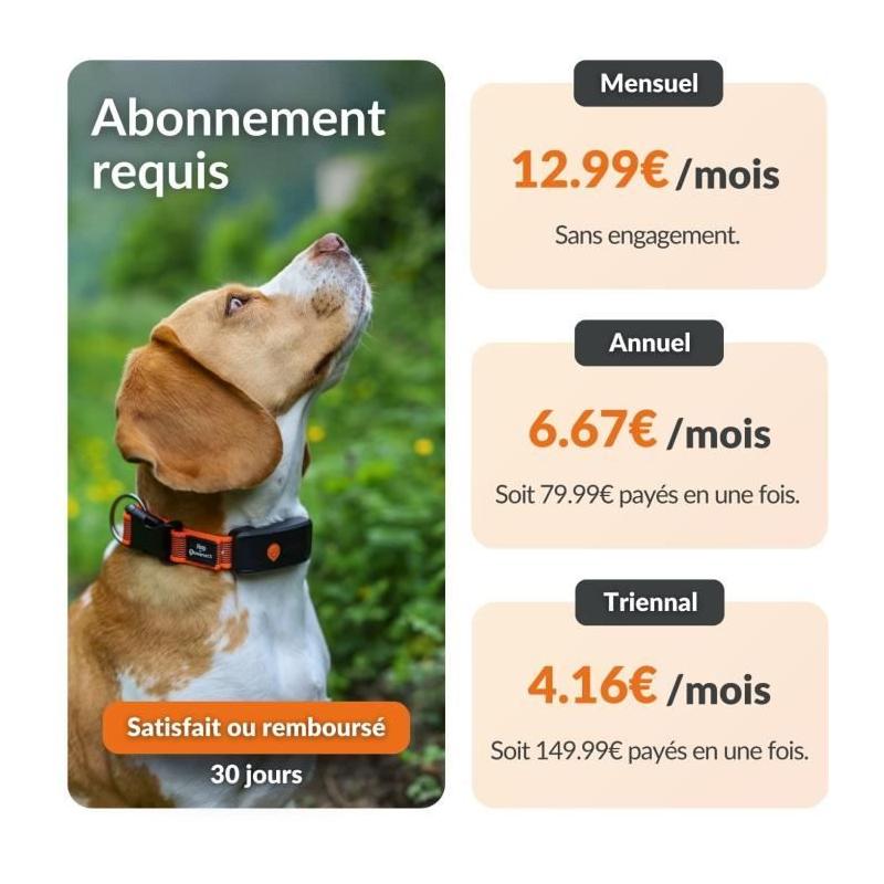 Collier GPS pour chien WEENECT Chien XT - Suivi précis - Robuste et étanche