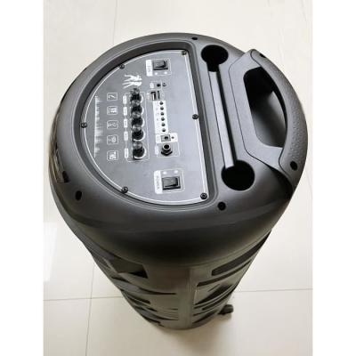 Enceinte karaoké - INOVALLEY - Lumineuse - 1000 Watts - Bluetooth V5.0 - Autonomie 2 a 3 heures - Micro sans fil inclus
