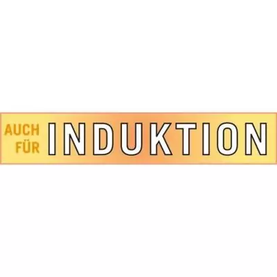 Friteuse GSW 488204 Induction 22 cm Inox & Verre