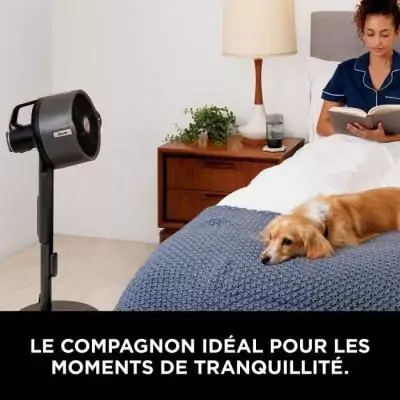 Ventilateur brumisateur SHARK FA300EU - Rafraîchit en toute flexibilité!