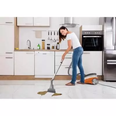 Aspirateur Détacheur 2 en 1 - THOMAS Aquatic Breeze : Puissance d'aspiration et détachage efficace