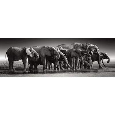 Clementoni Compact 1000 pièces Panorama - Herd of Giants