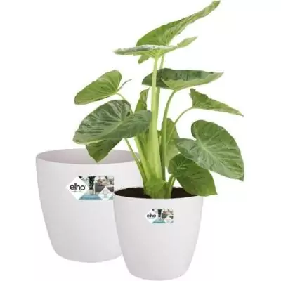 Lot de 2 pots de fleur ronds à roulettes Brussels - Blanc glamoureux