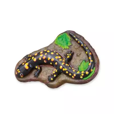 SES Creative Moulage et peinture - Animaux effrayants