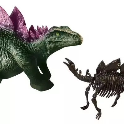SES Creative Explore Recherche ton dinosaures et de squelettes 2 en 1 - Stégosaure