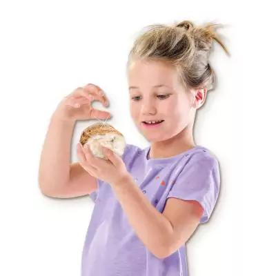 SES Creative Géodes à ouvrir