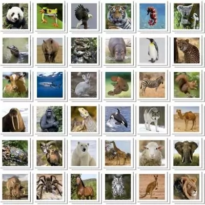 Jeu de mémoire Identic Animaux - Développe mémoire et attention