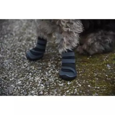 Chaussures pour chien KERBL - Protégez ses pattes avec style!