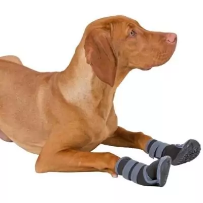 Chaussures pour chien XL - Gris/noir - Protection des pattes
