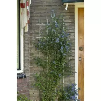 Treillis métallique rectangulaire en acier galvanisé NATURE - 42,5xH145cm - Gris Treillis métallique rectangulaire en acier galvanisé NATURE - 42,5xH145cm - Gris