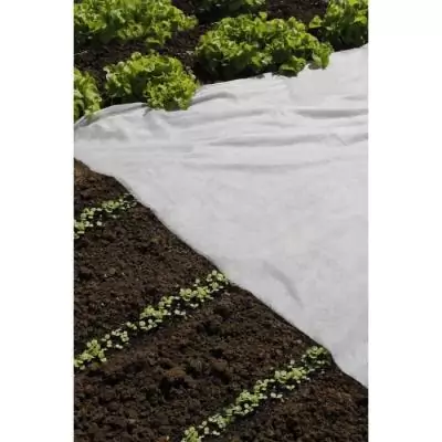 Voile de forçage PP 17 gr/m² - 2x5 m : Protection idéale pour vos cultures