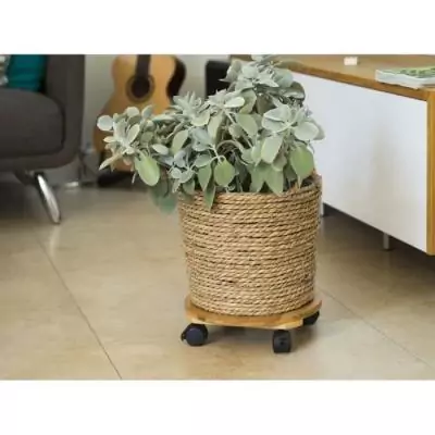 Tablette à roulettes pour plantes en bambou composite - Pratique et élégante